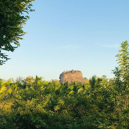 Chena Huts Eco Resort Sigiriya Exteriér fotografie