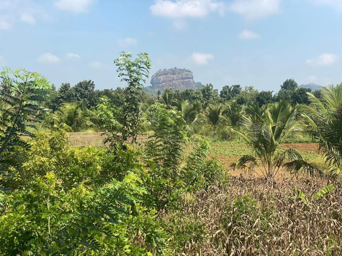 Chena Huts Eco Resort Sigiriya Exteriér fotografie