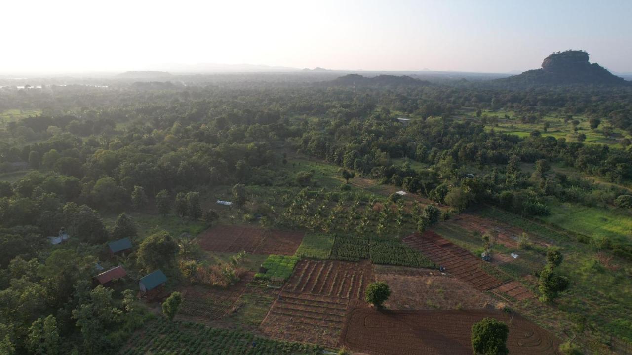 Chena Huts Eco Resort Sigiriya Exteriér fotografie