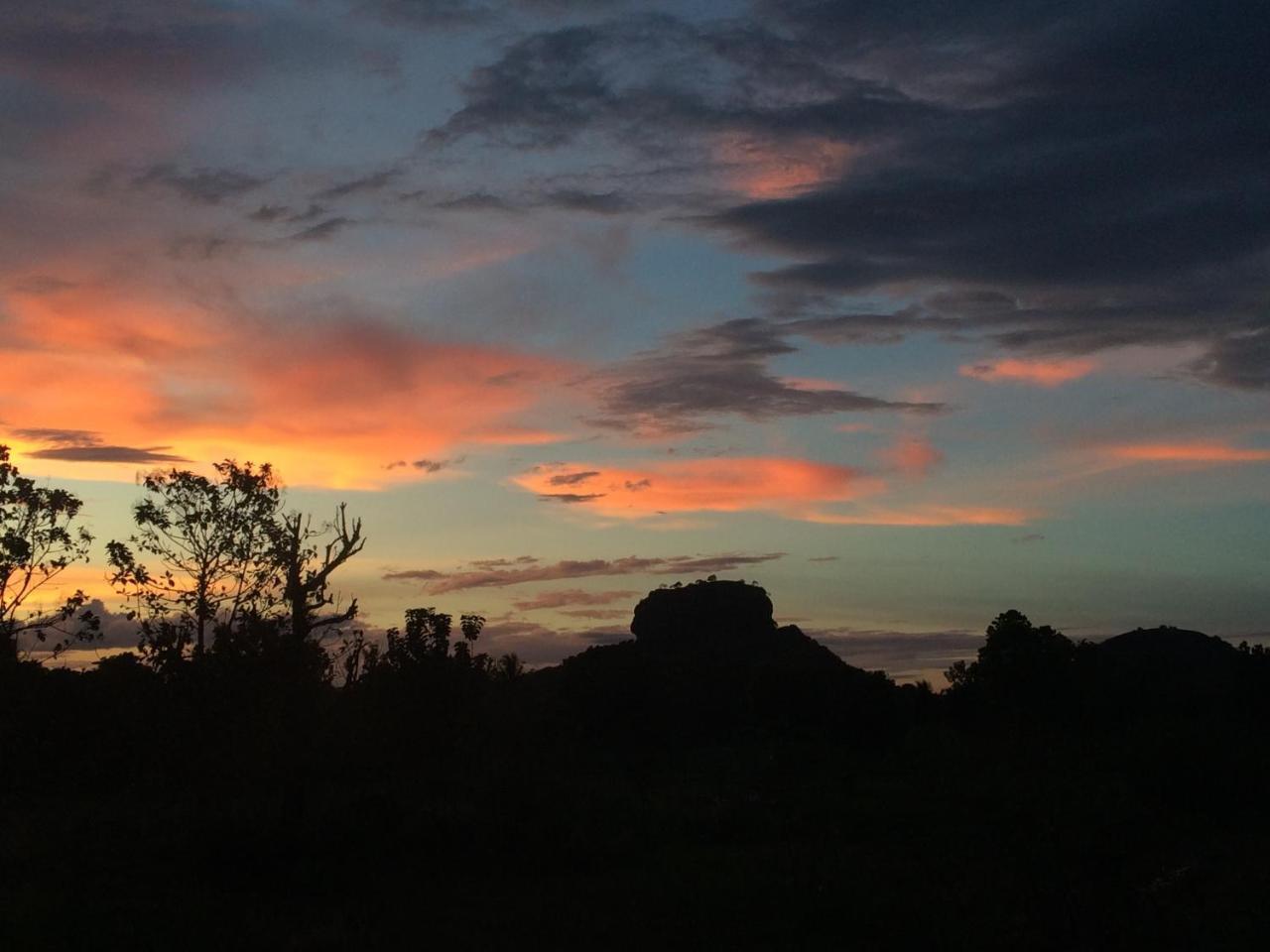 Chena Huts Eco Resort Sigiriya Exteriér fotografie
